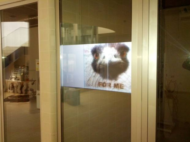 movex-ubrique-interactuando