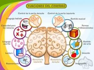 ESTIMULACION COGNITIVA