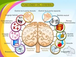 ESTIMULACION COGNITIVA
