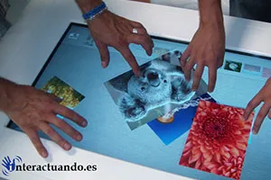 Software a Medida