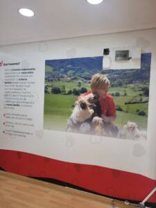 interactuando-centro-canino-almenas