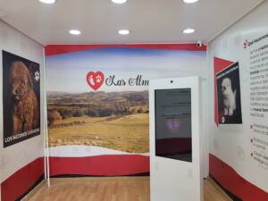 interactuando-centro-canino-almenas