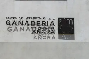 interactuando ganaderia san martin ayuntamiento anora